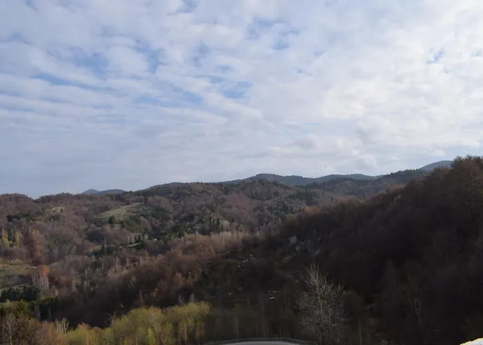 Natura Lux Milmari K 12 アパート *